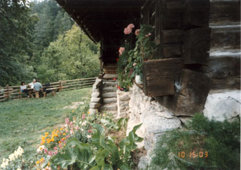 eika image